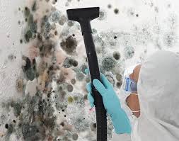 Best Biohazard Mold Removal  in Rockport, IN